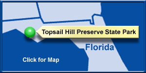 Topsail Hill Preserve